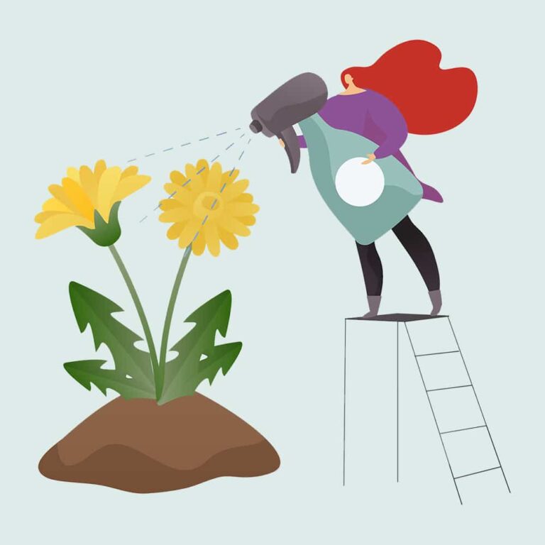 MakeAhead Fresh GarlicInfused Olive Oil (Minus the Botulism