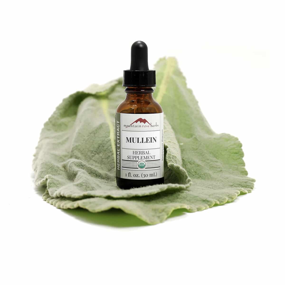 1:5 45-55% Fresh Leaf Mullein Tincture is an essential for respiratory support (especially during fire season!)