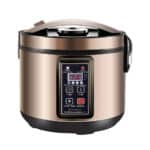 Black Garlic Fermenter