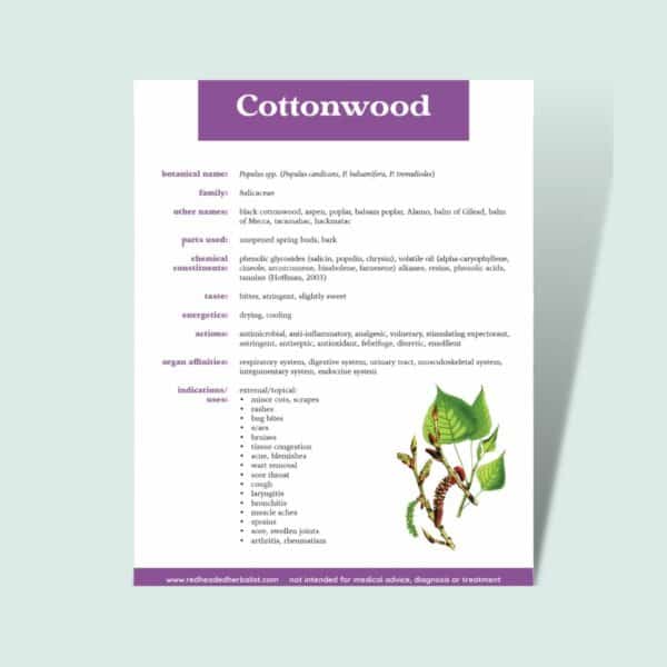 Notes from the Field:  A Working Materia Medica (PDF eBook) - Image 3