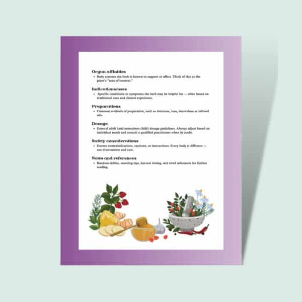 Notes from the Field:  A Working Materia Medica (PDF eBook) - Image 7