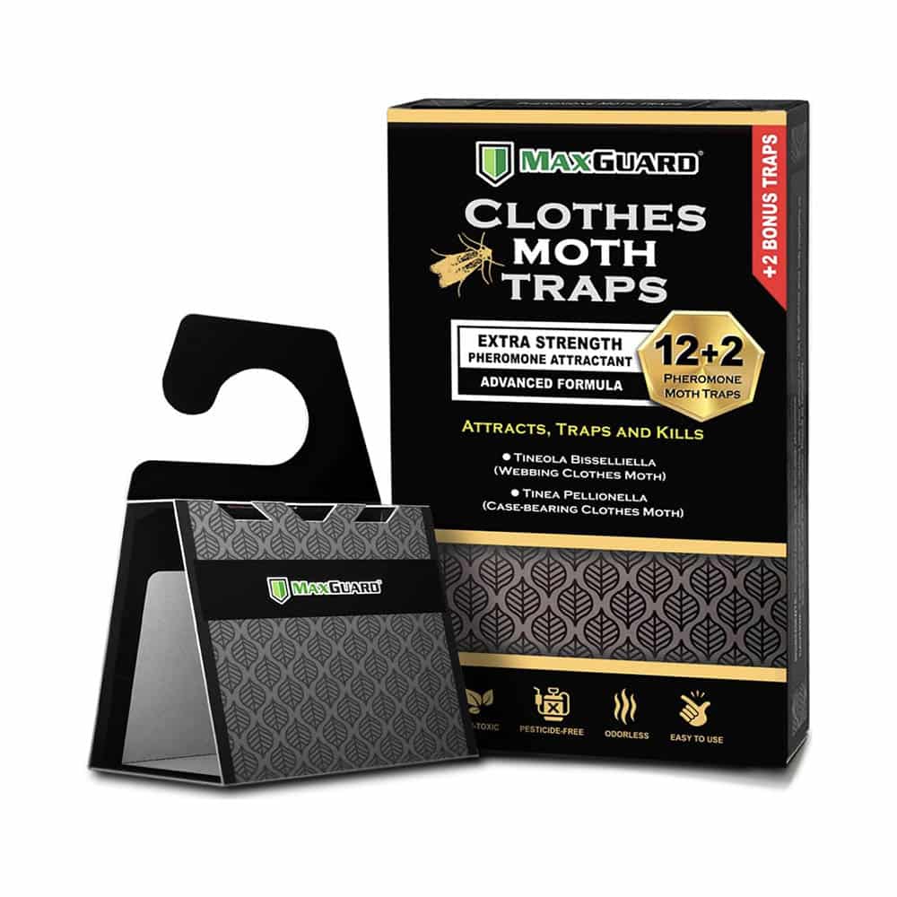 Clothes Moth Pheromone Traps (early warning system)